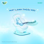 Combo 4 gói BVS Laurier Siêu Mỏng 1mm Mát lạnh 25cm 7 miếng - Ảnh 9