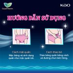 Combo 4 Băng Vệ Sinh Quần Laurier Guard Panties Size M-L Gói 2 Miếng - Ảnh 7